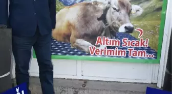 Hayvanlar İçin Elektrikli Yatak Üretti