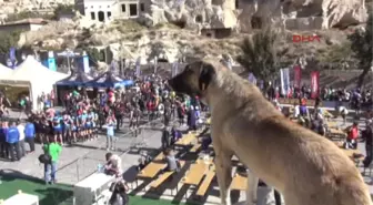 Salomon Kapadokya Ultra Trail Başladı