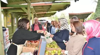 Omü Ziraat Fakültesi, 22 Ekim Tarihini 'Dünya Organik Tarım Günü' Olarak İlan Etti