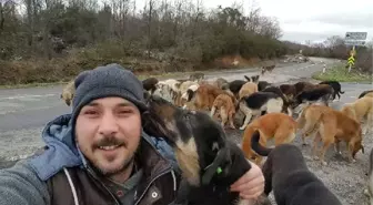 Dost Hareketi'  Yarışması'nın Galibi İstanbul'dan