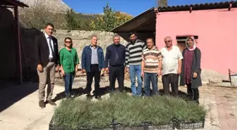 Isparta'da Çiftçiye Lavanta Dağıtıldı