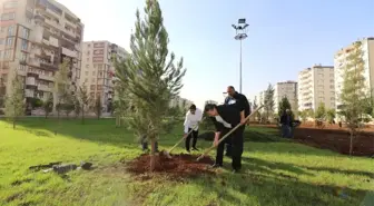 Başkan Akat Ağaç Dikimine Katıldı