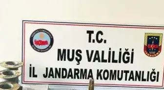 Muş'ta Terör Operasyonu