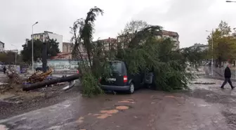 Yağmura Dayanamayan Ağaç Seyir Halindeki Aracın Üzerine Devrildi