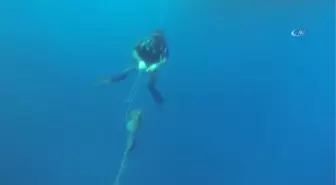 Denizler Terk Edilmiş Av Araçlarından Temizlendi...sualtındaki Temizlik Böyle Görüntülendi