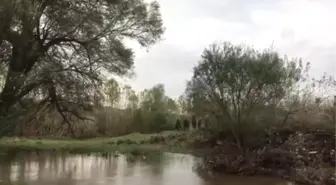 Kayıp Askerin Cansız Bedeni Bulundu - Tekirdağ