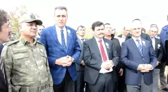 Mahkumlar 15 Temmuz Şehitleri İçin Fidan Dikti