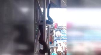 Hindistan'da Kaydedilen Anakonda Videosu Viral Oldu
