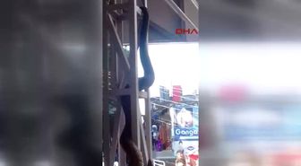 Tren Durağında Görüntülenen Anakonda, Yolcuları Dehşete Düşürdü