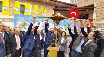 Yalova'da Kivi Festivali