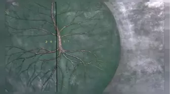 Almanya 31 Ekim'i İlk Kez Dini Bayram Olarak Kutluyor