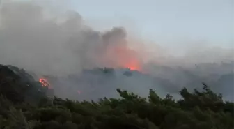 Datça'daki Orman Yangını Devam Ediyor