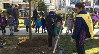 Fırtınada Hasar Gören Koşuyolu Parkı Yeniden Yeşillendi