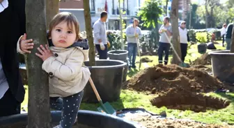 Fırtınanın Yıktığı Ağaçların Yerine Yenileri Dikildi