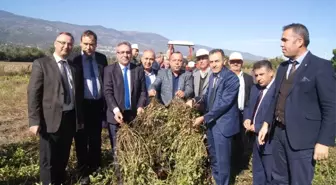 Bozdoğan'da Yer Fıstığı İçin Tarla Günü Düzenlendi