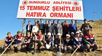 Sungurlu'da Asker ve Öğrenciler Fidan Dikti