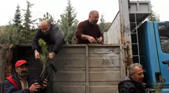 Beypazarı'nda Fidanlar Toprakla Buluştu