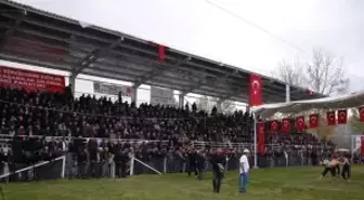 Kargı Güreşleri Kırkpınarı'ı Aratmadı
