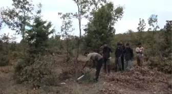 Ekmeklerini Mangal Kömürü Yaparak Kazanıyorlar