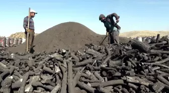 Ekmeklerini Mangal Kömürü Yaparak Kazanıyorlar