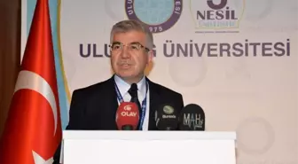 Prof. Dr. Arı: 'Arabistan'daki Karışıklık ABD'nin Yeni Projesi'