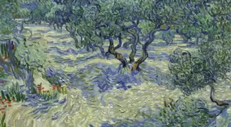 Şok Eden Keşif! 128 Yaşındaki Van Gogh Tablosunda Çekirge Bulundu