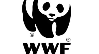 WWF-Türkiye'nin Panda Takımı Yardımseverlik İçin Koşacak