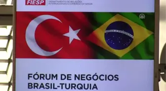 Brezilya-Türkiye İş Forumu - Sao