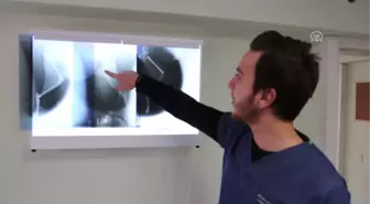 Sokak Hayvanlarının Havalı Tüfekle Vurulduğu İddiası