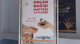 Böbrek Nakliyle Hayata Tutundu Organ Bağışı Gönüllüsü Oldu - Batman