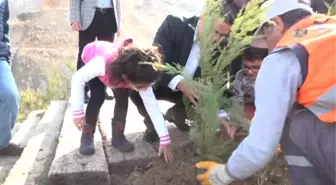 11.11.2017 Günü Saat 11: 11'de 11 Bin 11 Adet Ardıç Fidanı Dikildi