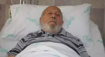 78'lik Dede, Ağaçta Barfiks Çekerken Düşüp Kemiklerini Kırdı