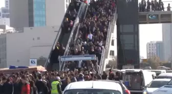 Cem Yılmaz, Kitapseverlere Kayısı Yedirdi