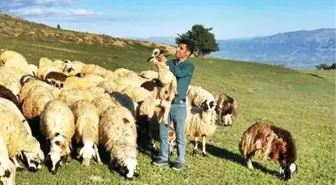 Erzincan'da Yeni Proje ile Yılda 2 Milyon 200 Bin TL Para Girişi Sağlanacak