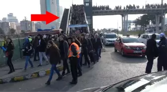 Cem Yılmaz'ı Duyan İstanbullular, Akın Akın TÜYAP Kitap Fuarına Gitti!