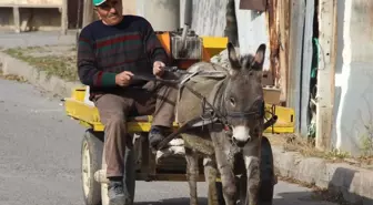 Onun Arabasında Cam Filmi Derdi Yok