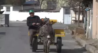 Onun Arabasında Cam Filmi Derdi Yok
