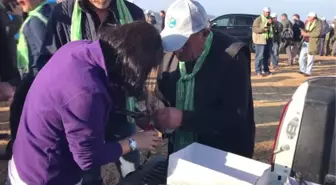 Rize'de 50 Atmaca Doğaya Bırakıldı