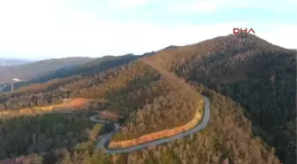 Trabzon Yangında Zarar Gören Çamburnu Ormanından Kötü Haber