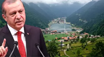 Erdoğan'ın Talimatının Ardından Uzungöl'de Yıkımlar Başlıyor