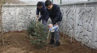 Çankırı'da 220 Adet Fidan Toprakla Buluştu