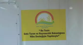 Hayalindeki İşe 'Genç Çiftçi' Projesi ile Kavuştu