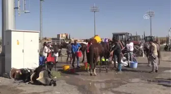 Urfalı Çocuklar Engelleri 'At'La Aşacak