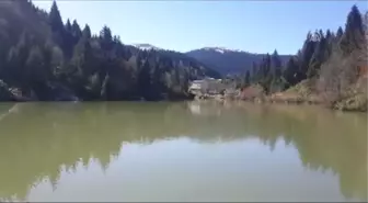 Yayla Cenneti' Akçaabat Gezginleri Bekliyor - Trabzon