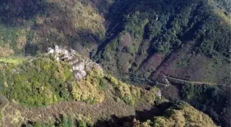 Turnasuyu Vadisi'nde Renk Cümbüşü