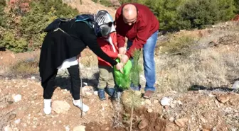 Yeni Doğan Bebekler İçin Fidan Dikildi