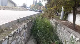 Gümülceli'de Dere Temizliği Başladı