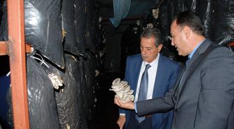 Vali Kalkancı Tarımsal Alandaki Ekonomik Yatırımları İnceledi