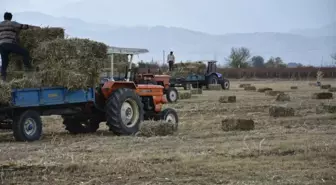 Alaşehir Belediyesinden Üreticiye 150 Ton Ücretsiz Yem Desteği