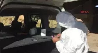 Denizli'de 4 Mahallede 'Şarbon' Karantinası